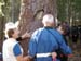 01672 41 CLUB N.Z. TREE HUG AT SAARIJARVI
